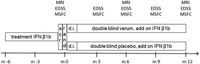 Disease Modification in Multiple Sclerosis by Flupirtine—Results of a Randomized Placebo Controlled Phase II Trial